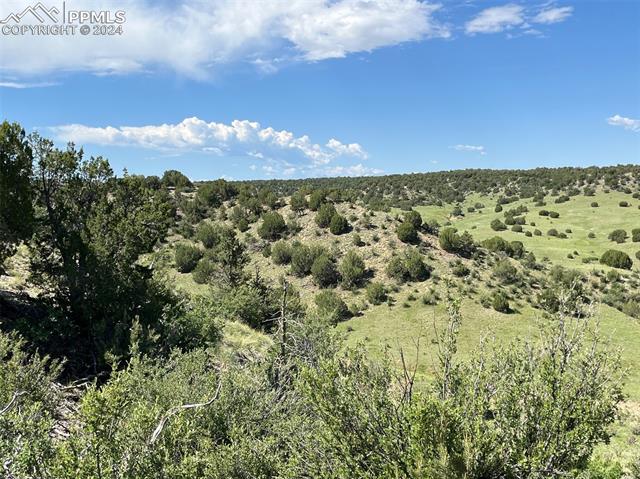 Photo 2 of Railroad Springs Road, Pueblo