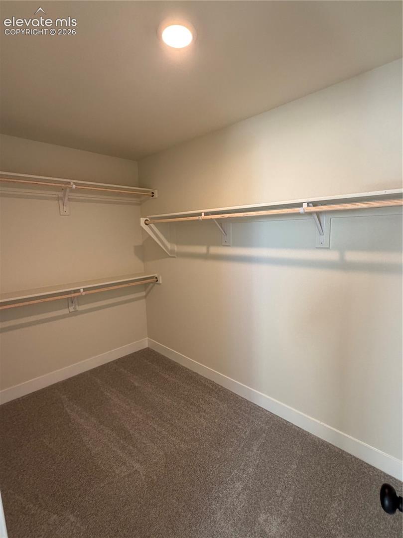 Walk-in storage space featuring neutral carpeting and multi-tiered built-in shelving with integrated clothing rods