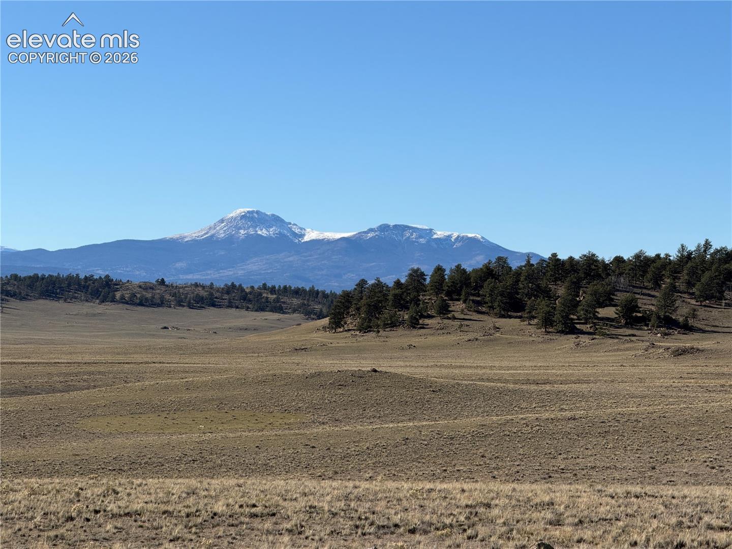 Expansive acreage featuring rolling terrain, clusters of mature evergreen trees, and prominent mountain backdrop