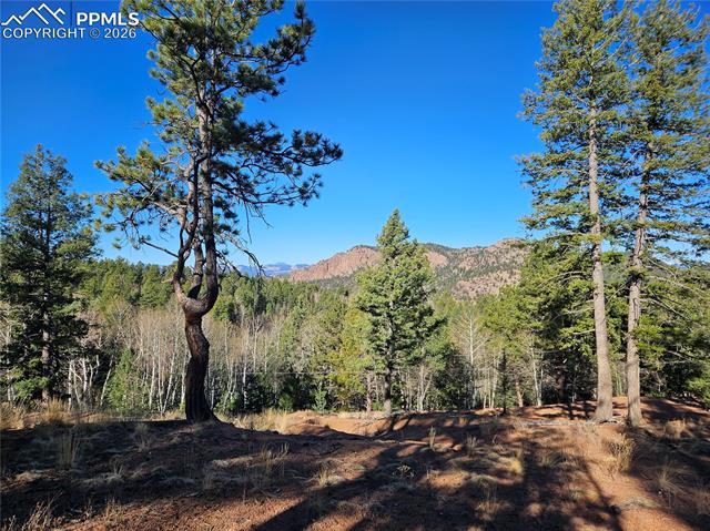 Photo 28 of 652 Derby Drive, Cripple Creek
