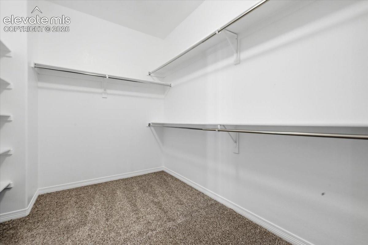 Photo 21 of 9084 Pennycress Drive, Colorado Springs