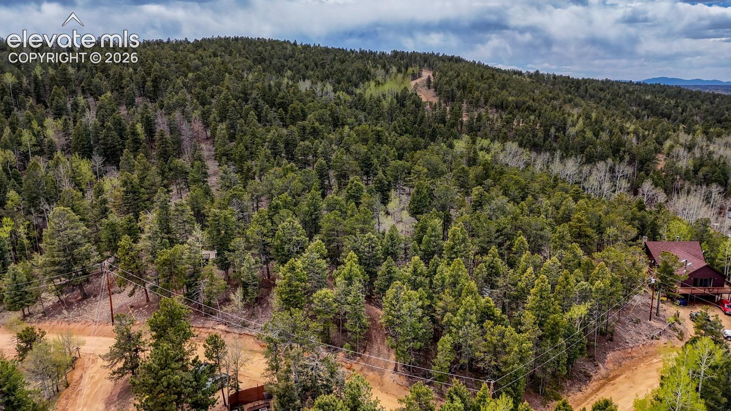 259 Potlatch Trl, Woodland Park, CO 80863