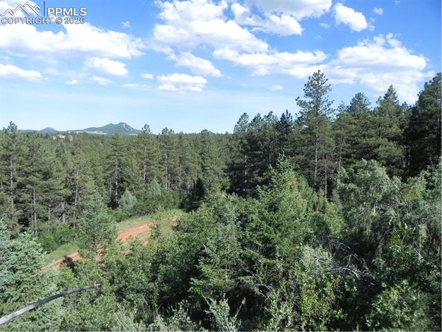 Photo 13 of 8117 Acoma Drive, Larkspur