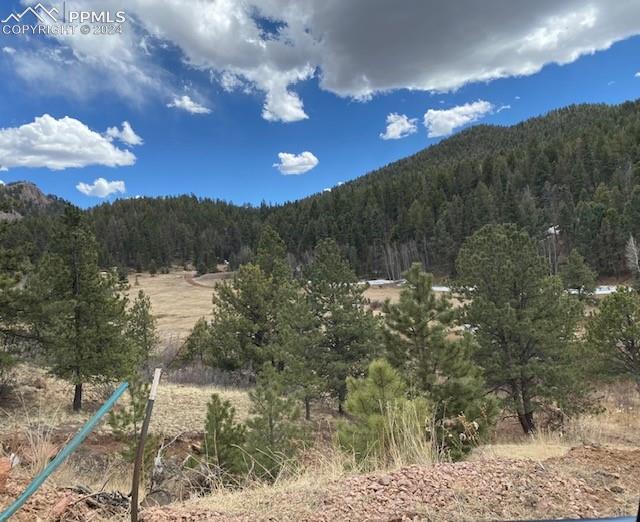 Photo 8 of 4023 Teller 1 Road, Cripple Creek
