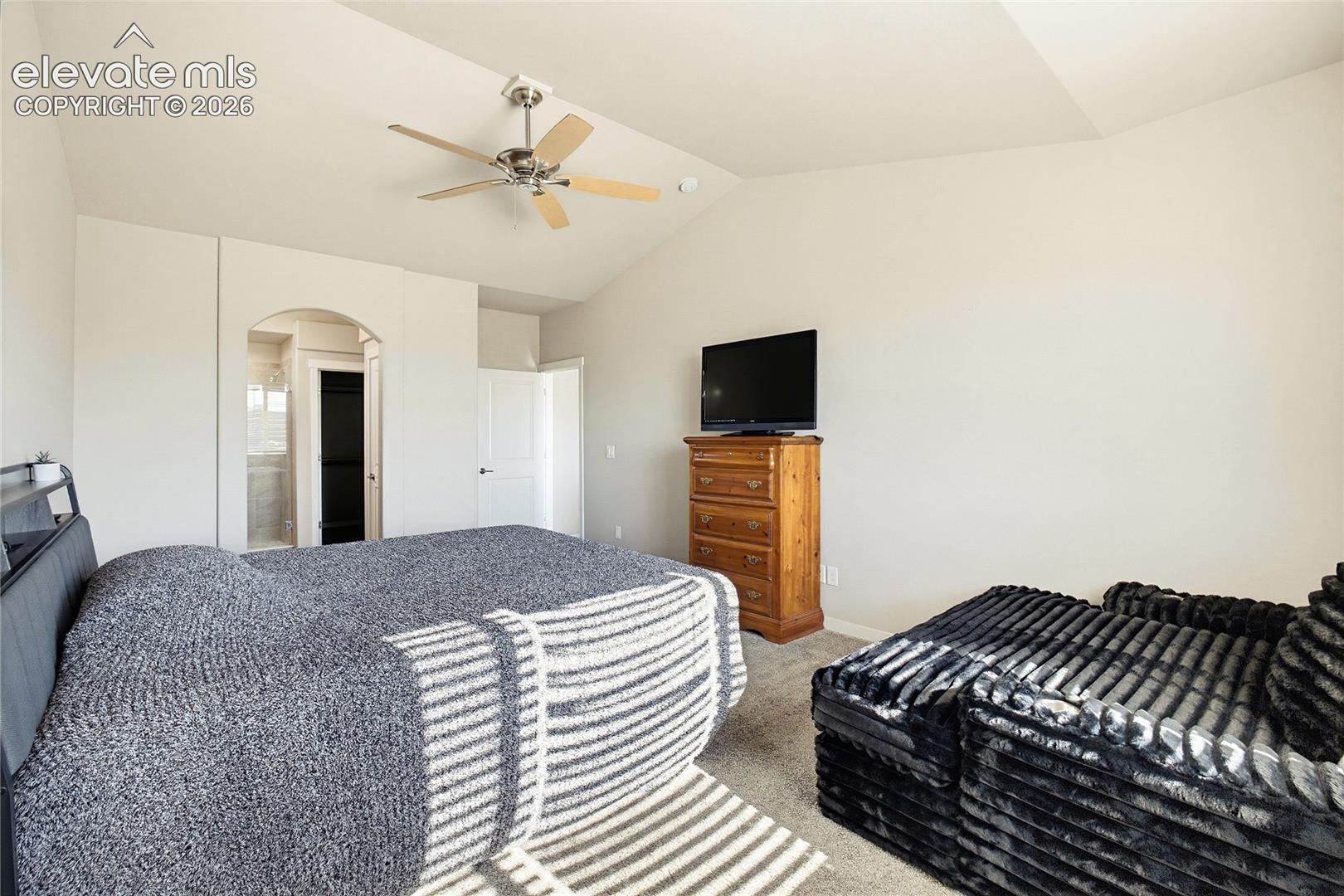 Vaulted ceiling with an integrated multi-blade ceiling fan and a distinctive arched doorway