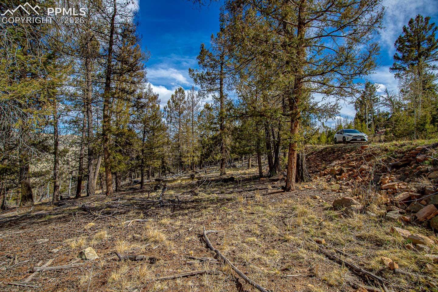 Photo 33 of 5302 Middle Fork Vista, Fairplay