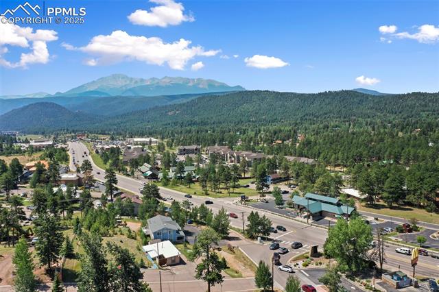 607 Baldwin St, Woodland Park, CO 80863