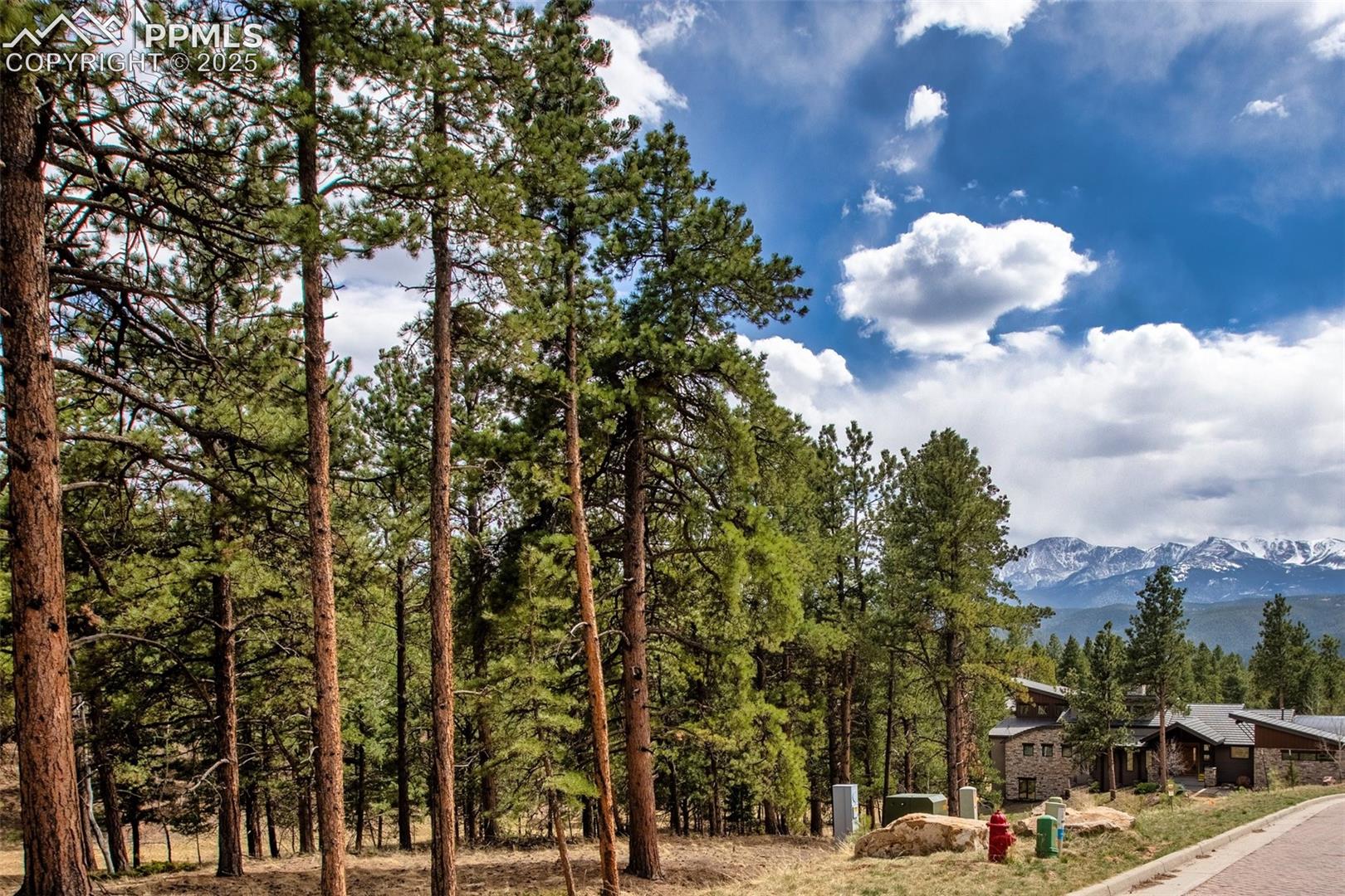 Featured Homes