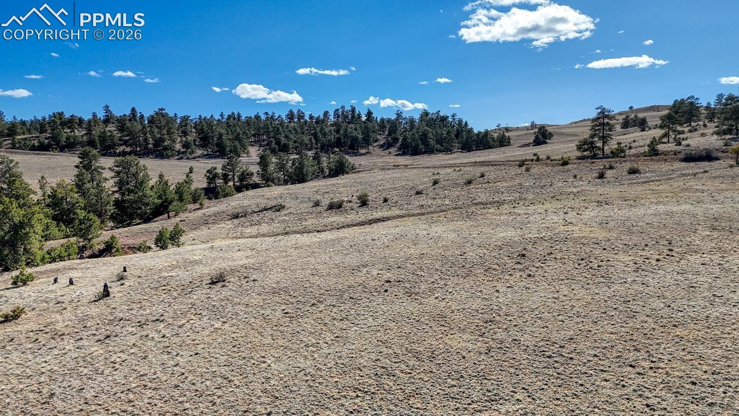 Photo 14 of L5090L5097 Arikara Trail, Hartsel