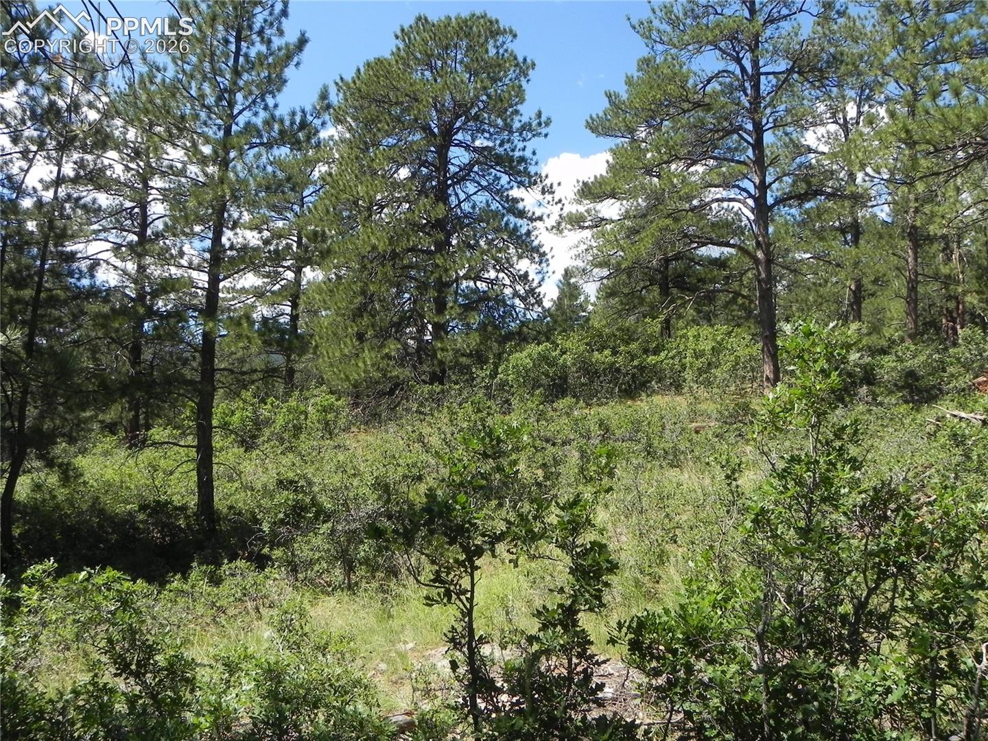 Photo 6 of 4144 Cheyenne Drive, Larkspur