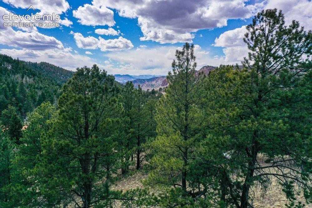 Property view of mountains featuring a view of trees