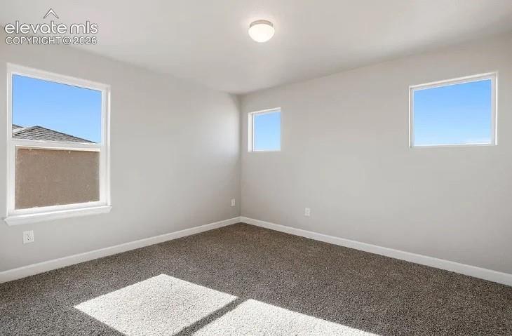 Neutral-toned interior room featuring wall-to-wall carpeting, three windows with natural illumination, and a ceiling-mounted light fixture