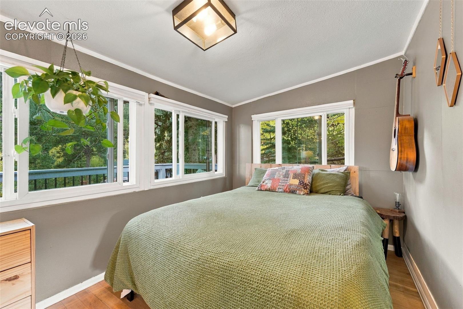 Lots of natural light.