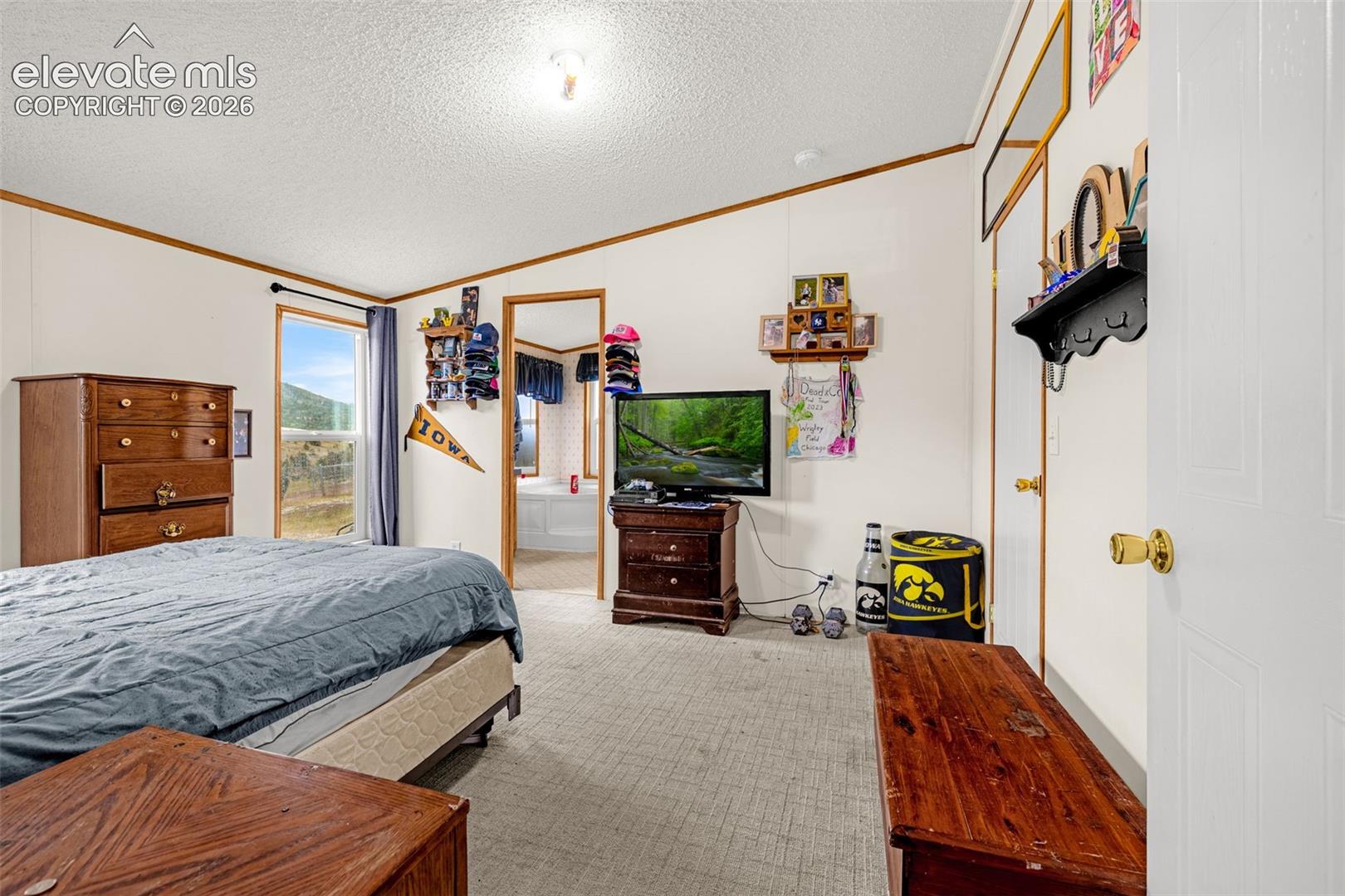 Photo 14 of 213 S 1st Street, Victor