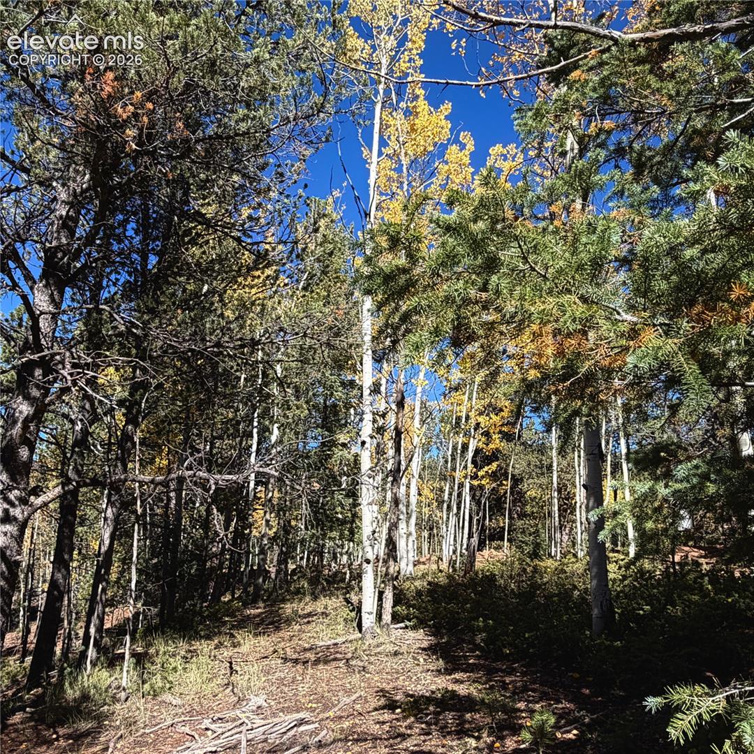 Photo 9 of 773 Timber Ridge Road, Divide