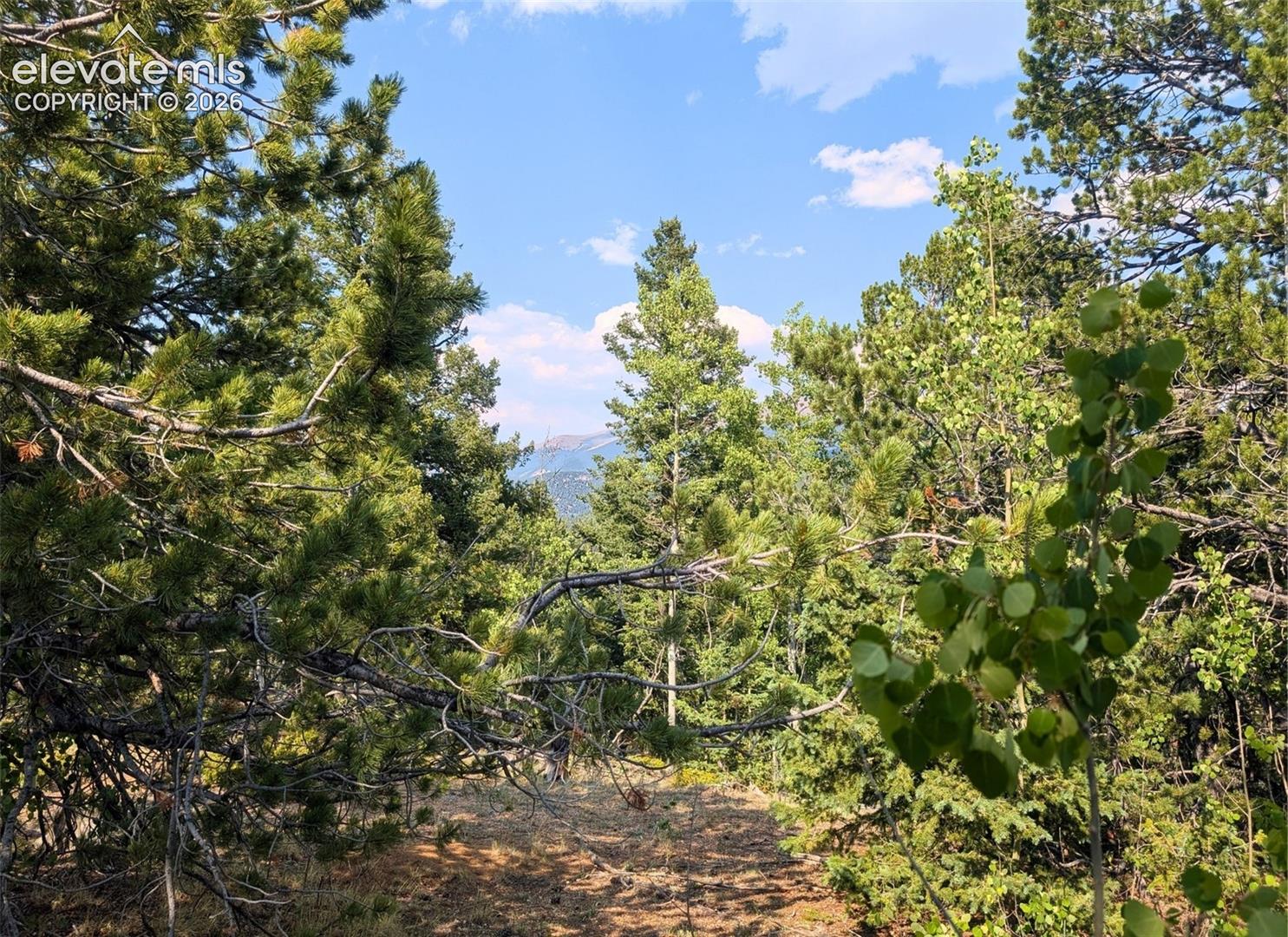 0 Fairview Dr, Cripple Creek, CO 80813