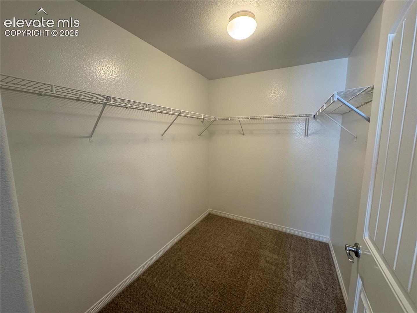 Walk-in closet featuring neutral carpet flooring, tiered wire shelving, and a mounted dome light fixture