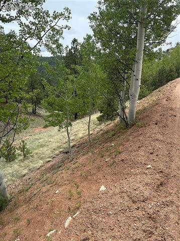 Photo 6 of 1600 Pikes Peak Drive, Divide