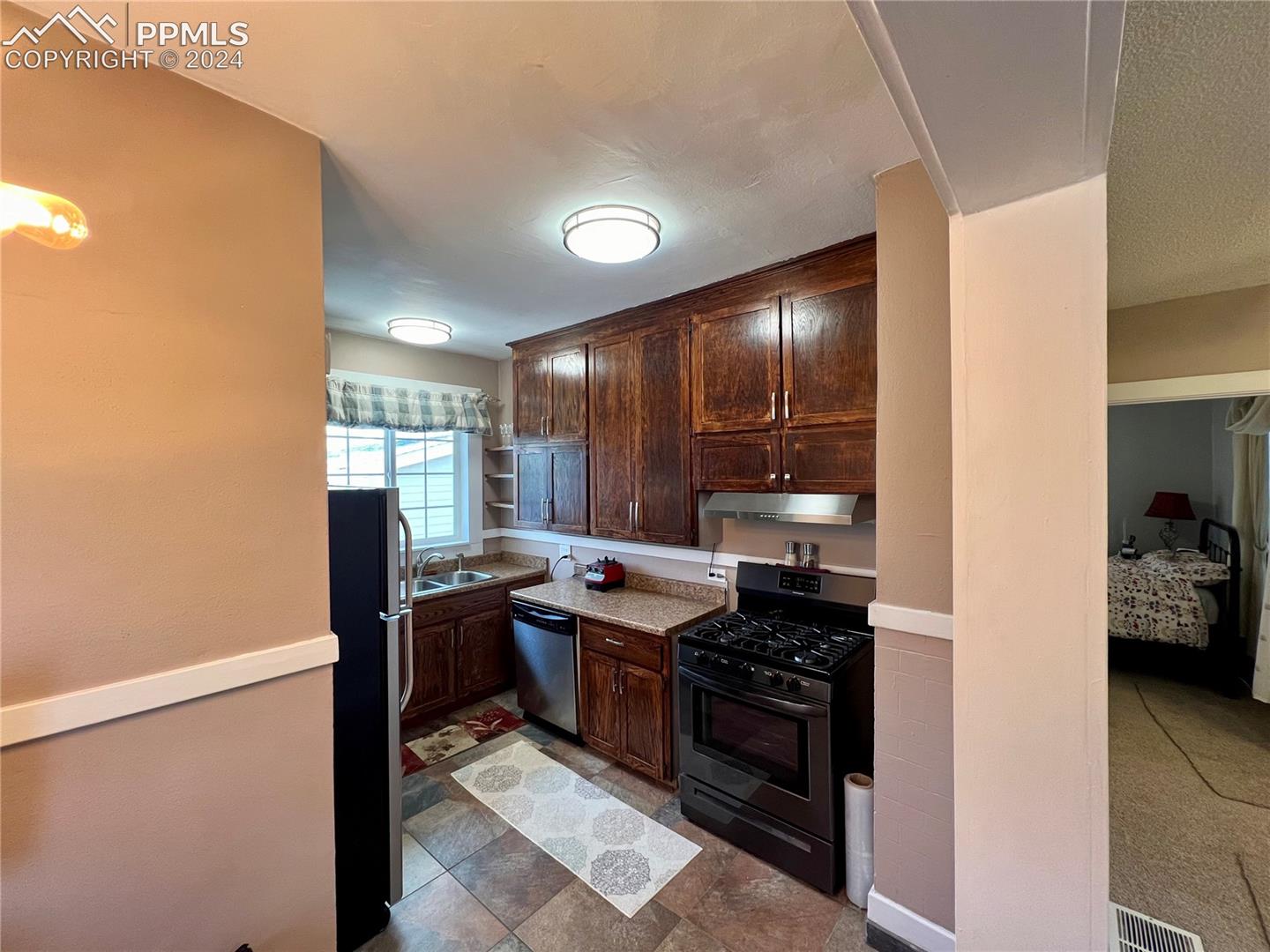 Kitchen with sink, appliances with stainless steel finishes, dark brown cabinets, and carpet floors