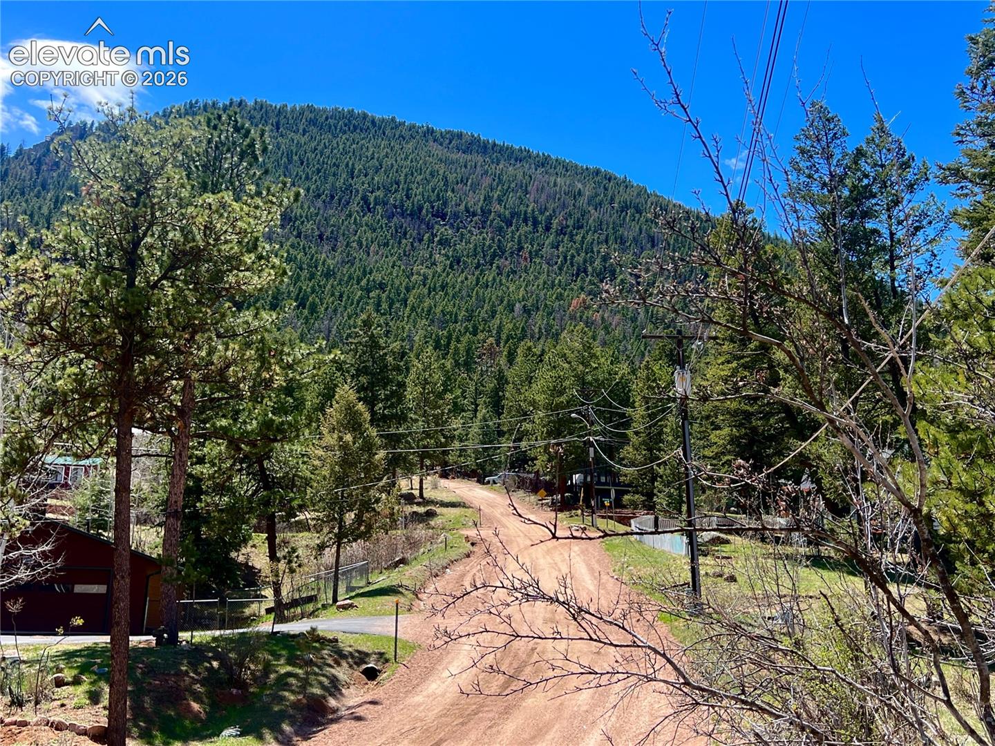 Road in front of cabin