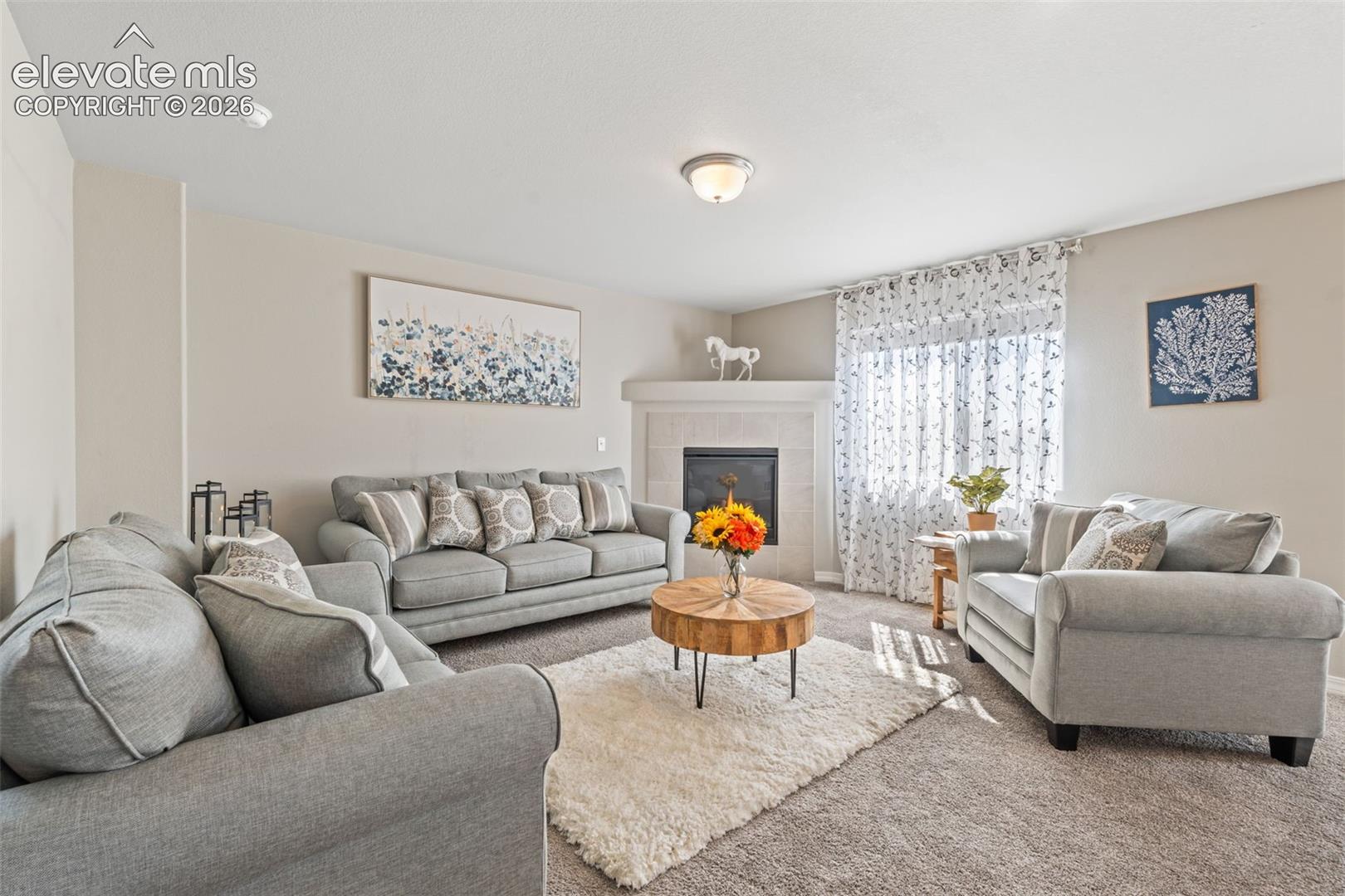 Photo 6 of 8293 Lodge Grass Way, Colorado Springs