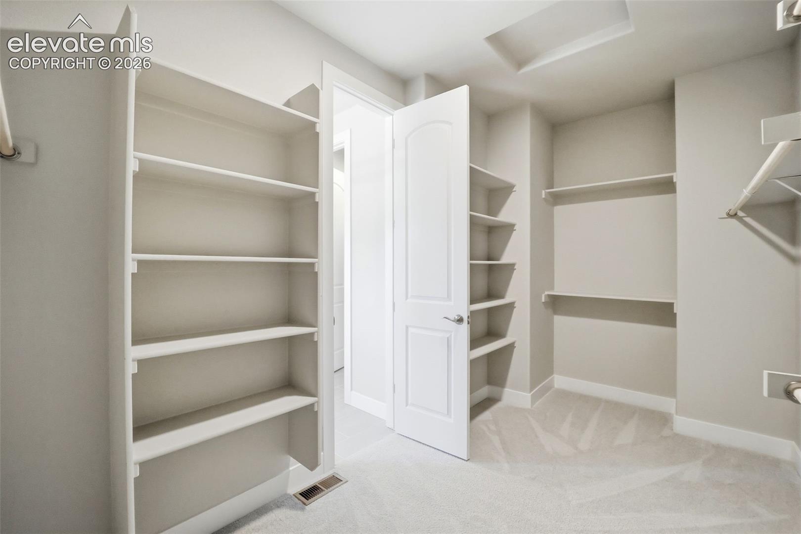 Walk-in storage space featuring custom built-in shelving, neutral wall-to-wall carpeting, and a traditional solid-core swing door