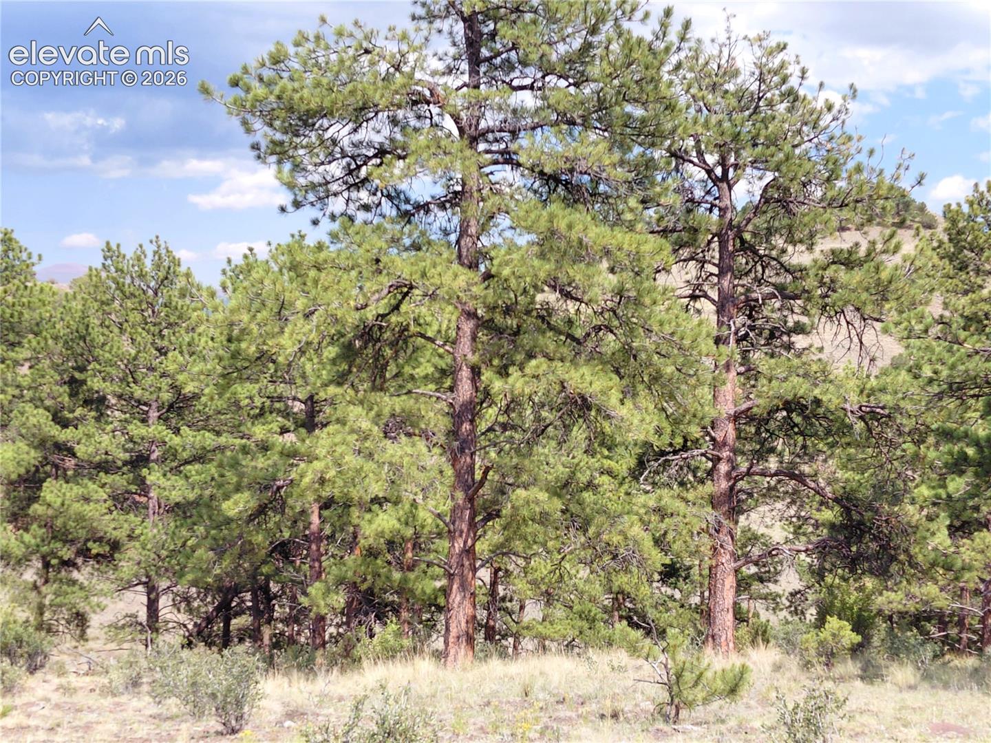Photo 21 of Tract 70 Owls Nest Road, Guffey