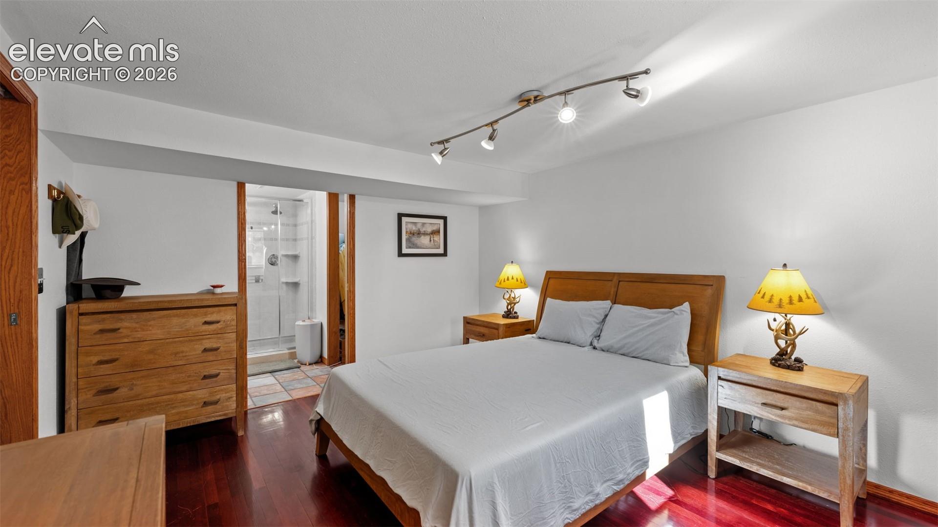 Wood-finish flooring, adjustable multi-bulb track lighting, and a walk-in shower enclosure