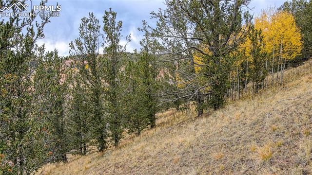 Photo 8 of 65 Portland Drive, Cripple Creek