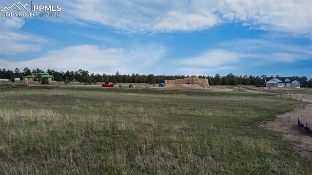Photo 13 of 11516 Bison Meadows Court, Colorado Springs