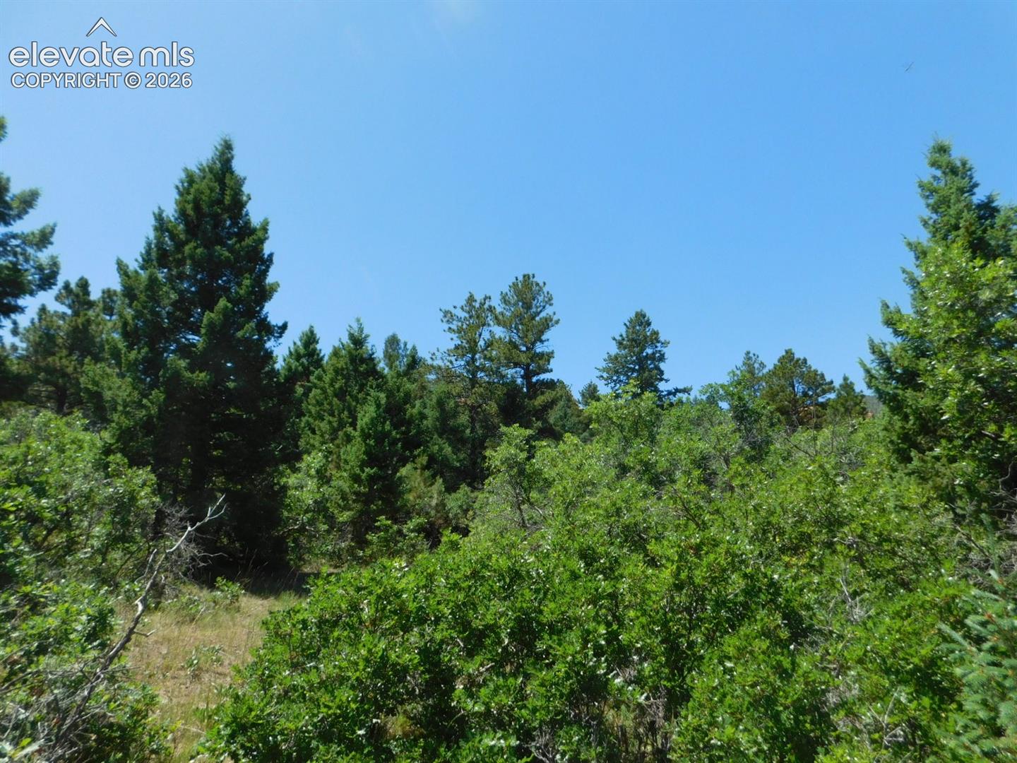 Photo 42 of 6447 Thunderbird Road, Larkspur