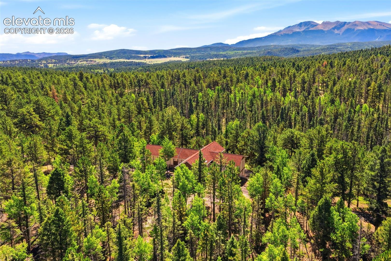 Expansive treed landscape with a visible red-tile roof structure