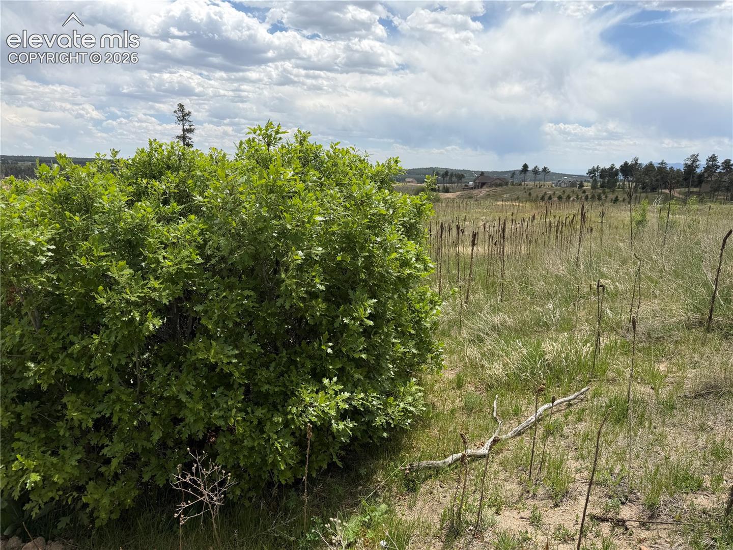 Photo 19 of 13810 Wildoak Drive, Black Forest