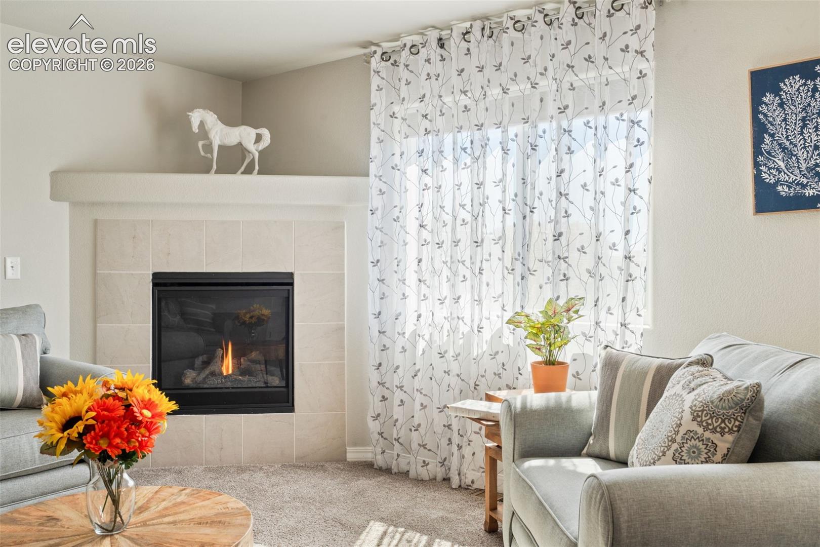 Photo 8 of 8293 Lodge Grass Way, Colorado Springs