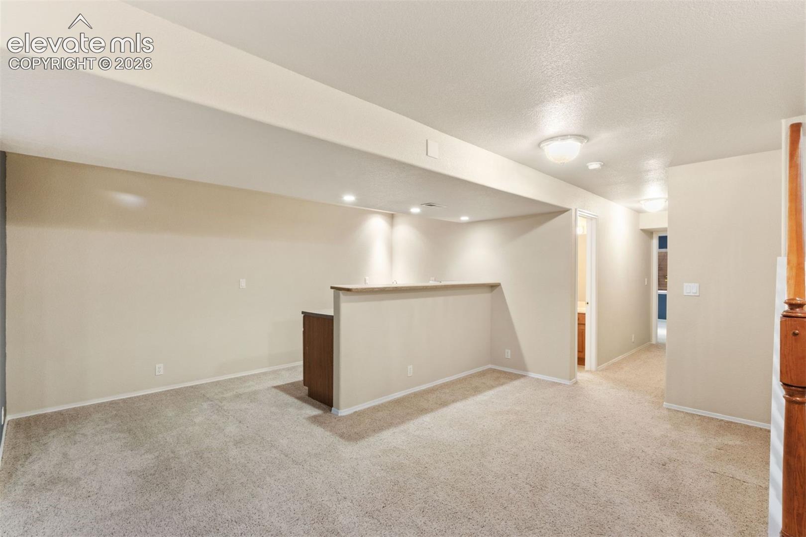 Basement wet bar