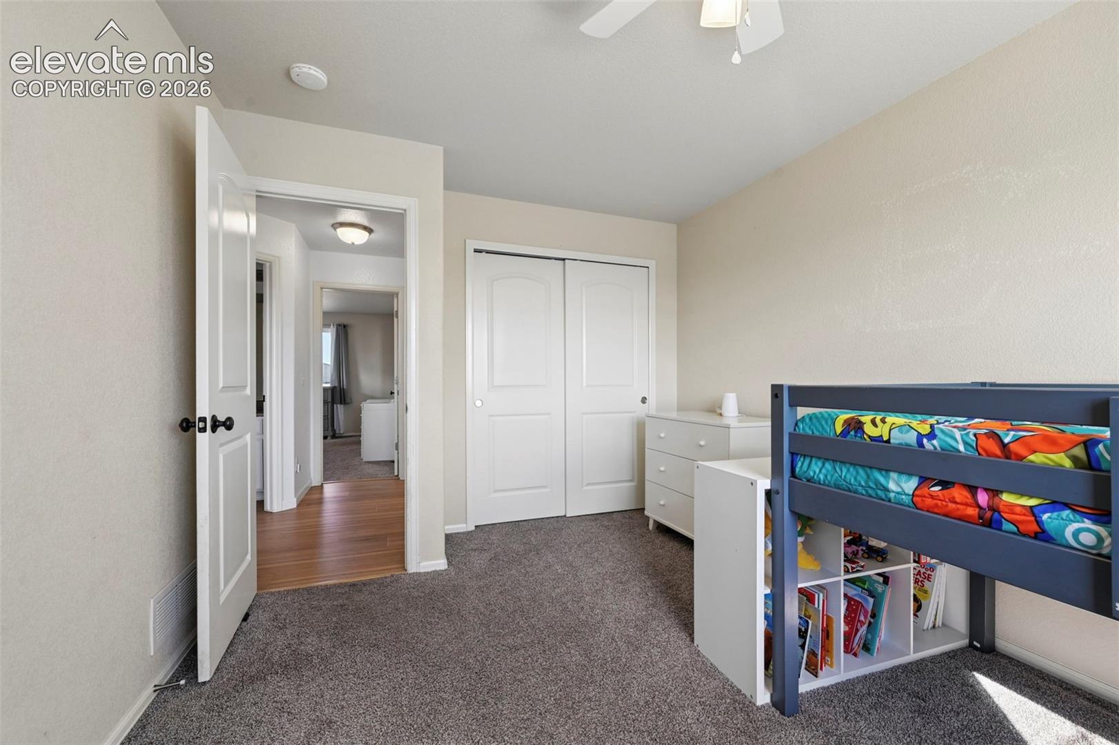 Neutral carpeting, two-panel interior closet doors, and a ceiling-mounted light fixture