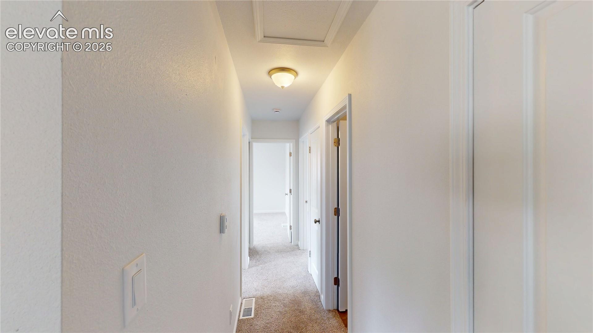 Neutral wall paint finish and carpeted flooring in a hallway with ceiling-mounted lighting and white doors