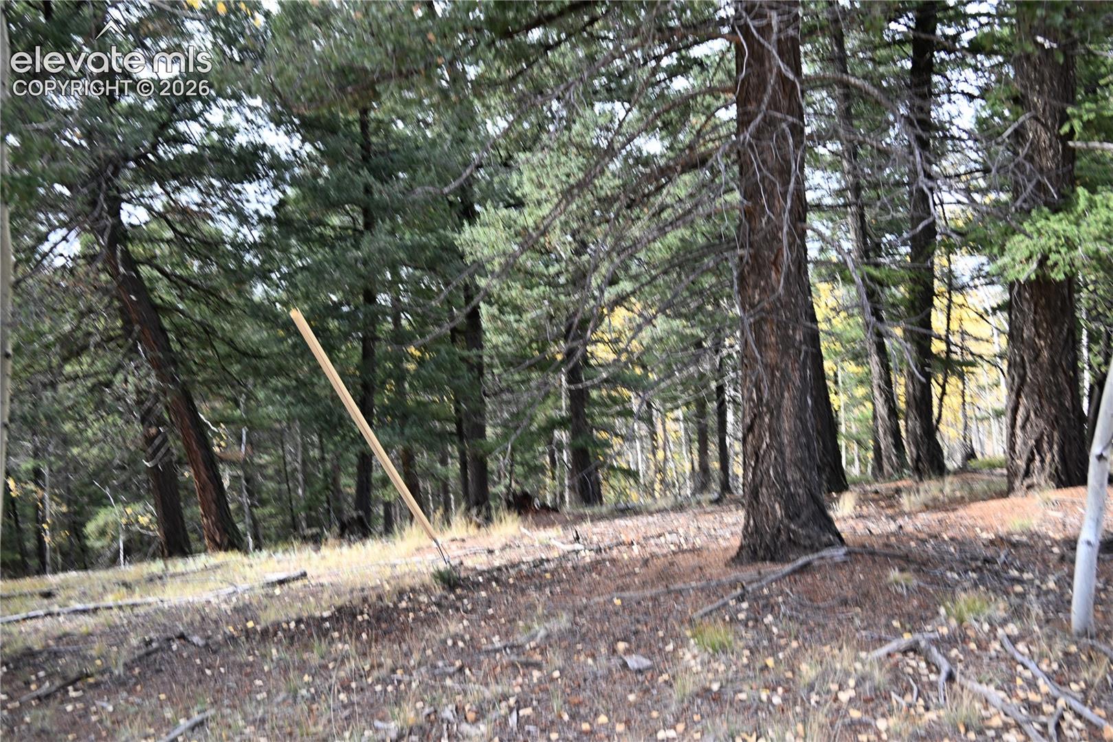 Photo 9 of 1020 Princess Road, Cripple Creek