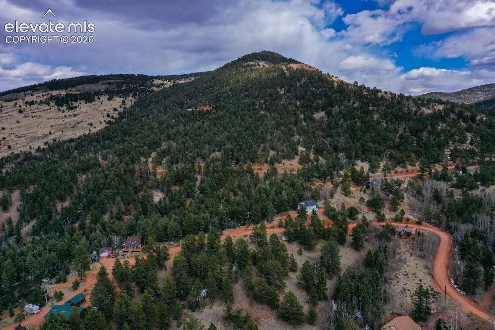 View of mountain feature with a forest view