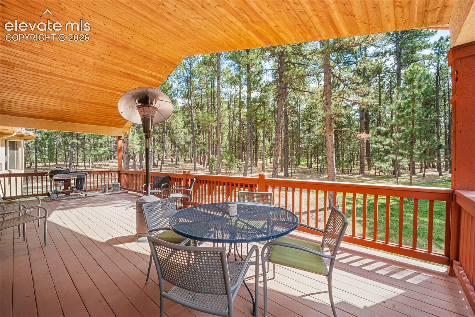 Photo 13 of 4235 Slash Pine Drive, Colorado Springs