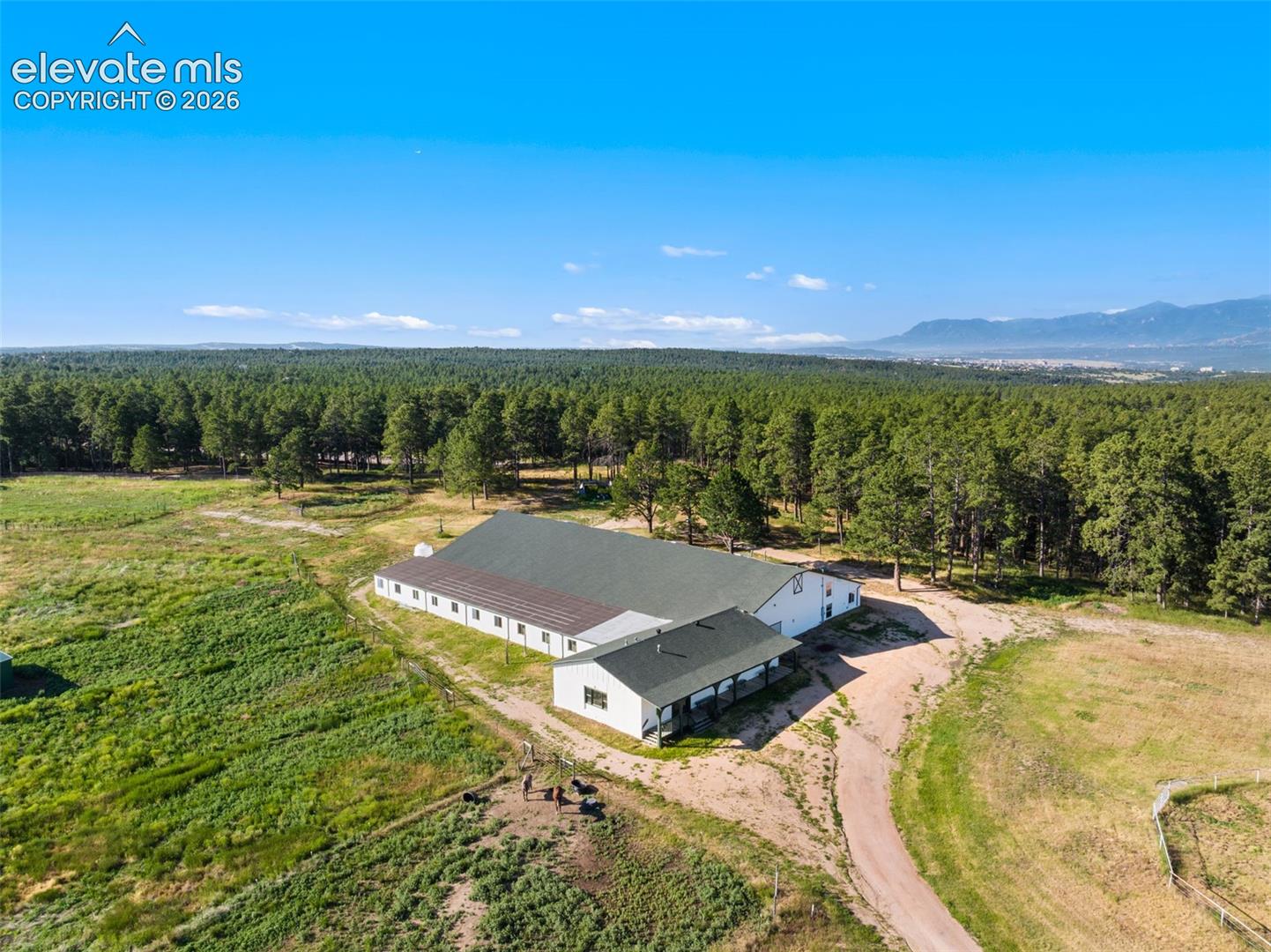 Photo 47 of 16685 Roller Coaster Road, Colorado Springs