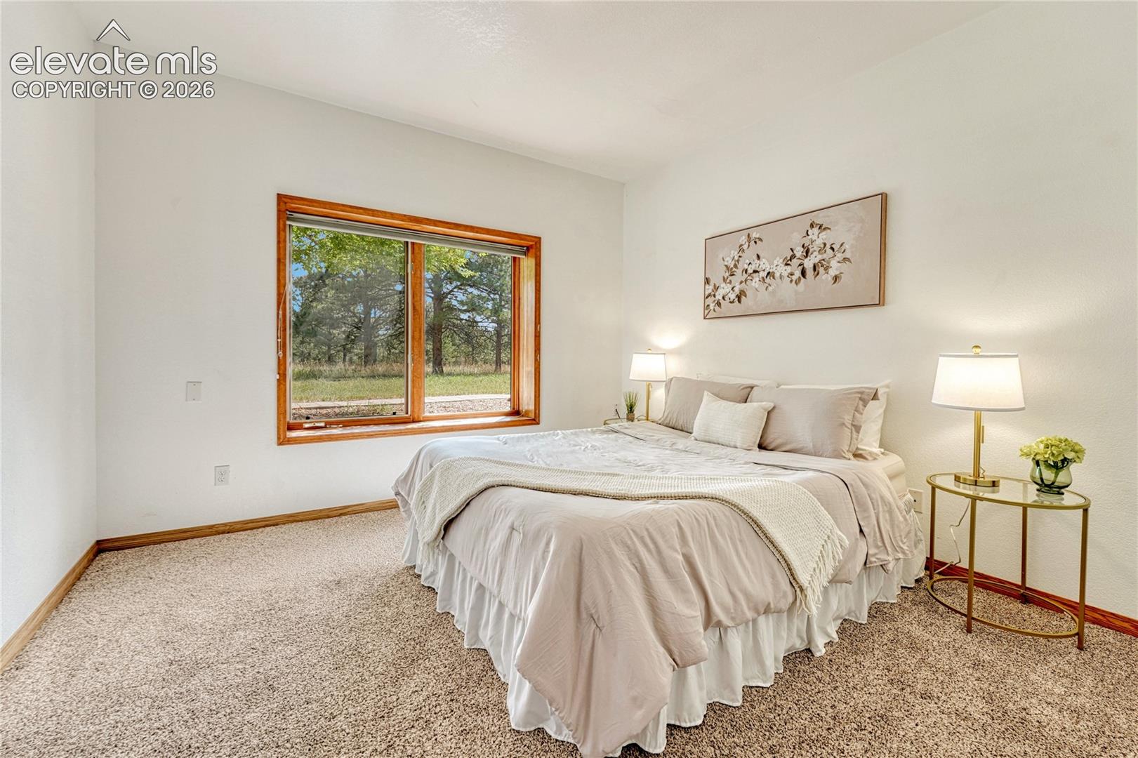 Lower level bedroom #5. Four bedrooms in lower level. 