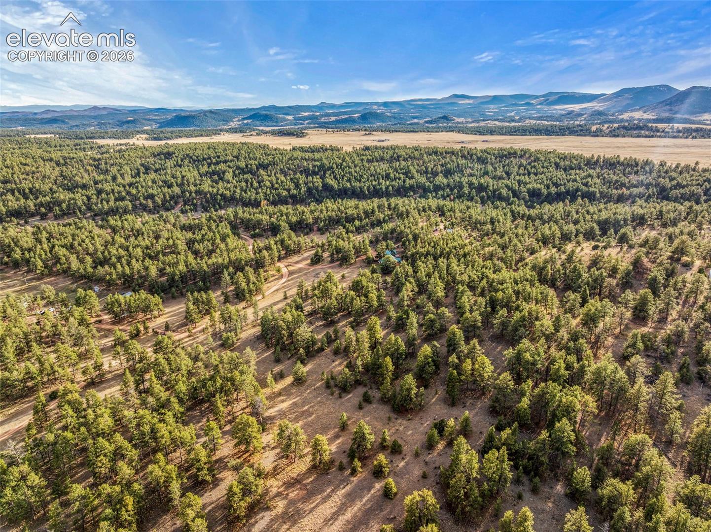 Expansive acreage featuring dense evergreen timber, native grassland, and mountain terrain