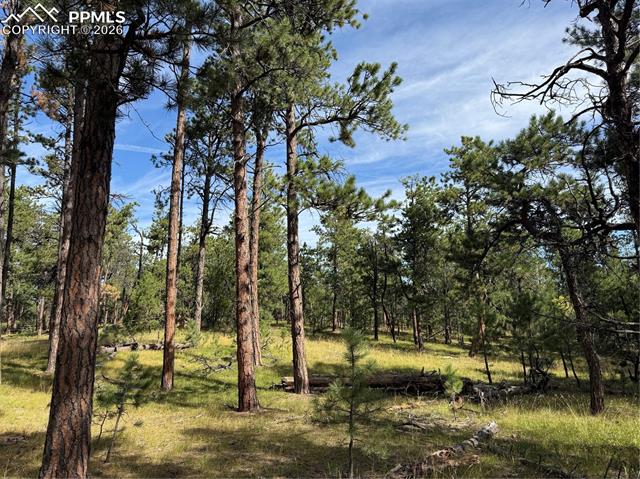 Photo 8 of 17405 E Goshawk Road, Colorado Springs