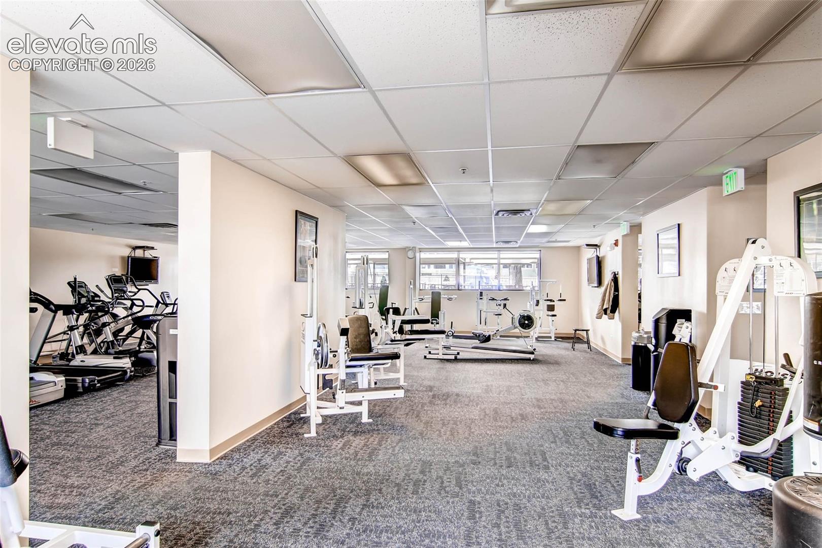 Spacious fitness center featuring a variety of exercise equipment, carpeted flooring, drop ceiling with integrated lighting, and multiple windows