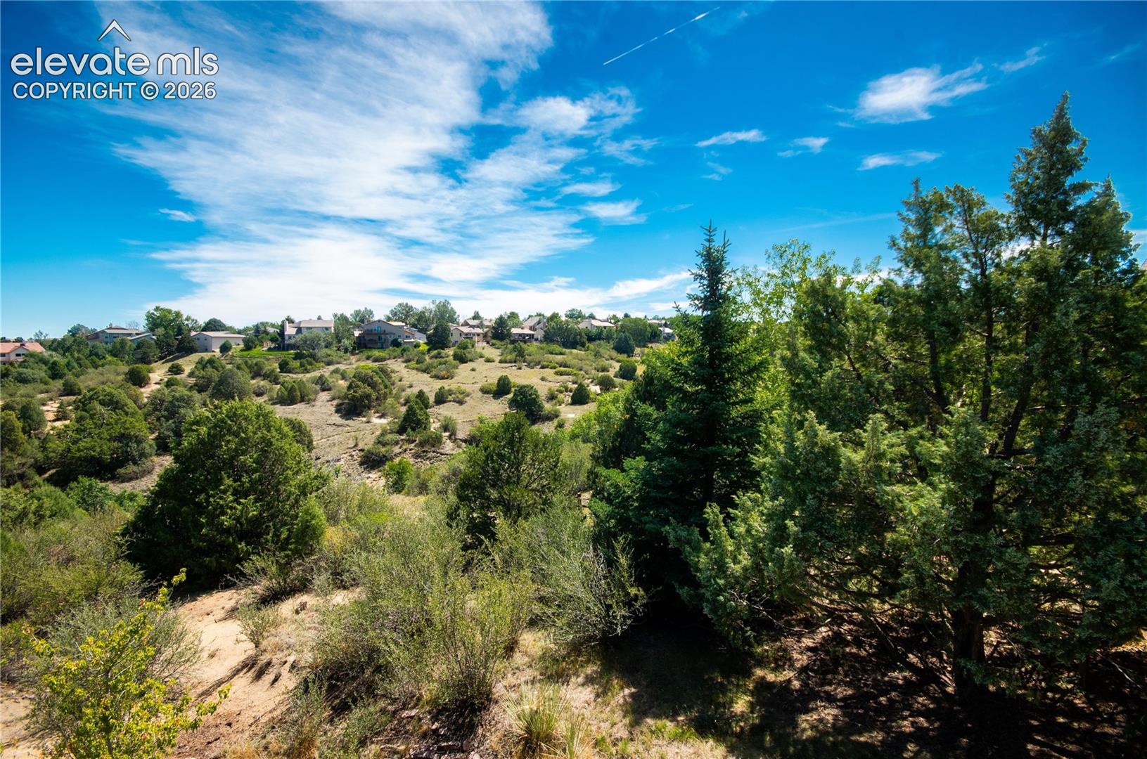 Photo 20 of 6151 Treeledge Drive, Colorado Springs