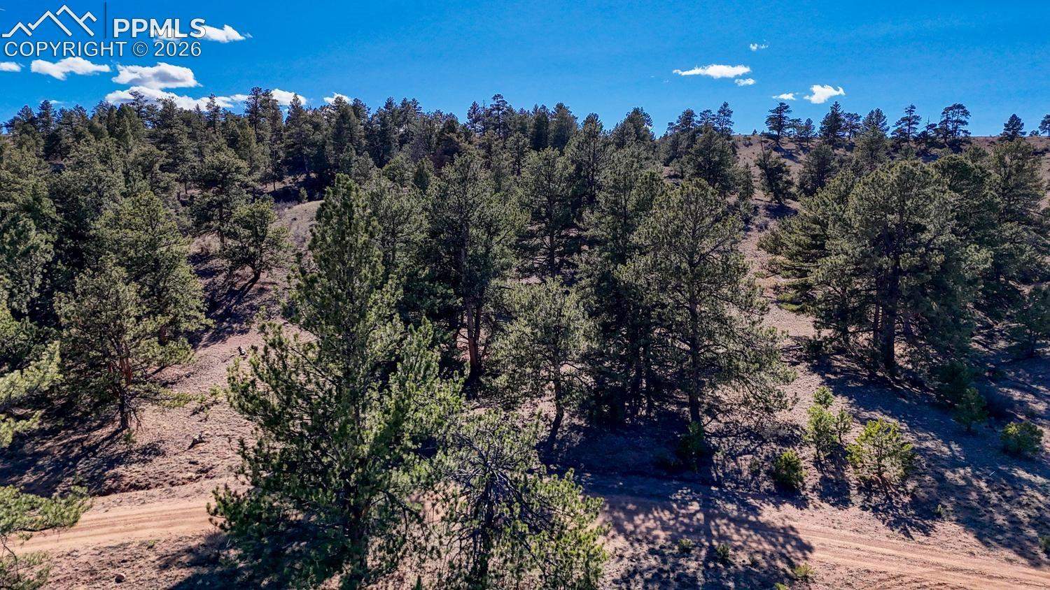 Photo 21 of Lot 5124 Arikara Trail, Hartsel