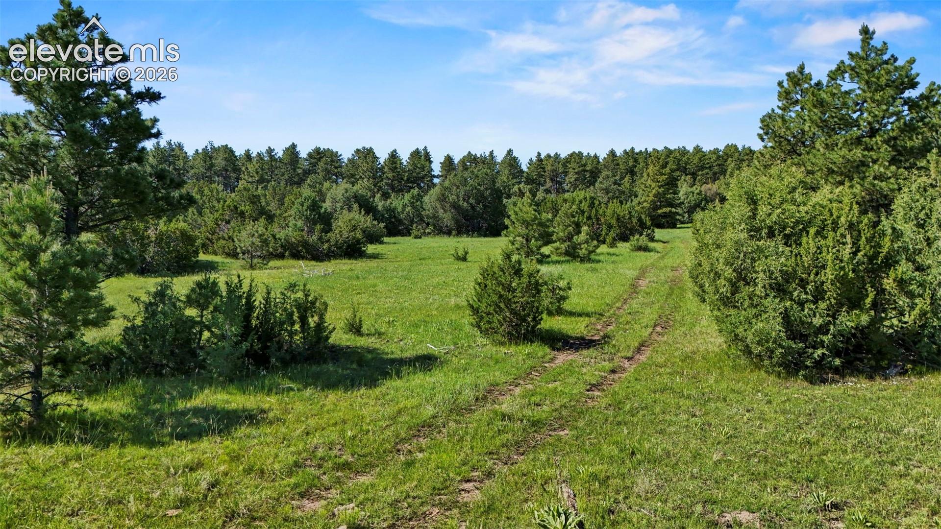 Photo 19 of Old Homestead Lane, Beulah