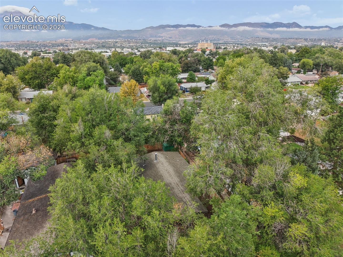 Aerial perspective showcasing extensive tree coverage and a distant mountain backdrop