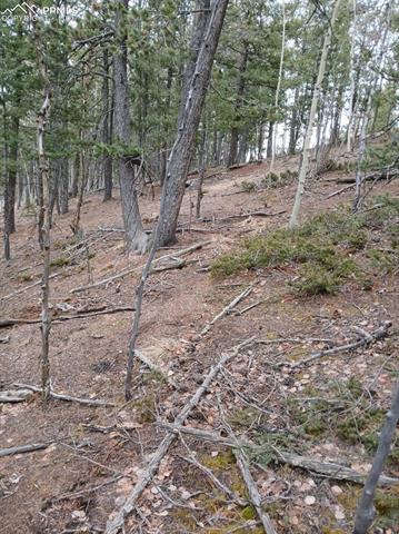 Photo 3 of 495 Wakanda Trail, Woodland Park